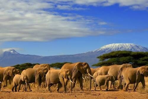 kenya