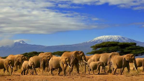 kenya